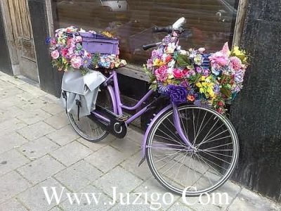 ​带刺歇后语65句