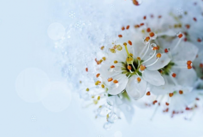 ​处暑说说心情早安语录(精选26句)