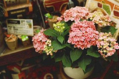 ​关于励志的句子简短（哲理人生句子心情短语）