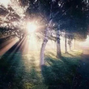 ​qq空间心情说说