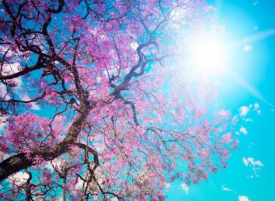 ​深夜心情语录