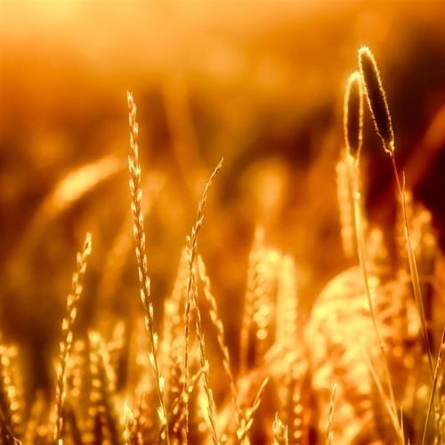 倒霉说说心情图片大全