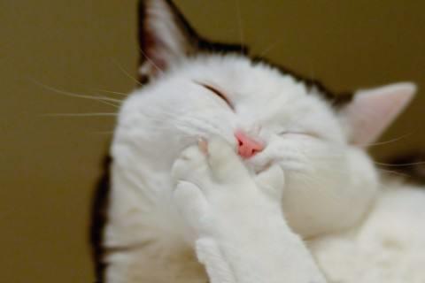 心情低落的伤感句子 纵使身前华光万丈，只想和你携手到老