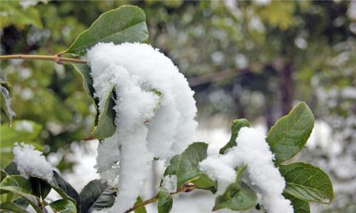一句话风景的说说心情