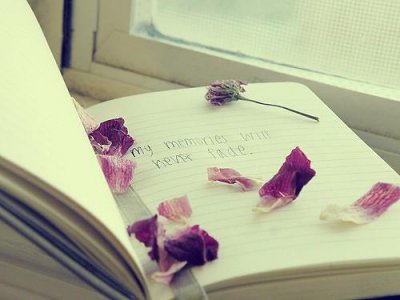 ​睡前说说心情短语 晚安 说说晚安的句子简短(20句)