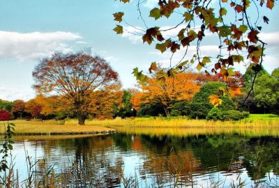 ​微博经典心情语录