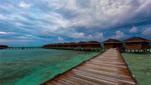 qq心情经典语录