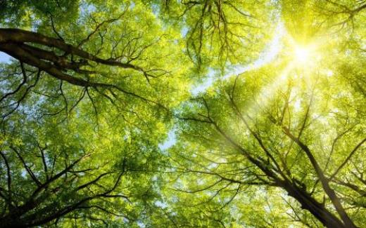 心情语录经典短句