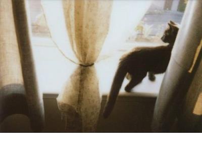 最怕回忆突然翻滚绞痛着不平息