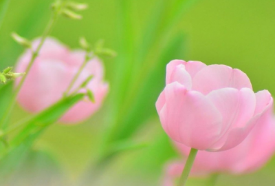 ​失眠幽默说说心情短语 2022朋友圈失眠的心情说说