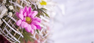 ​早安说说短句心情说说，句句温心，让人心情开朗