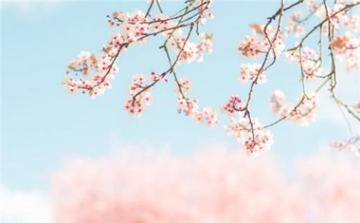 适合心情低落时的句子