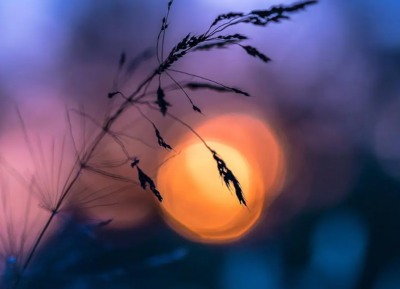 ​全新好烦非常累的情绪说说大全