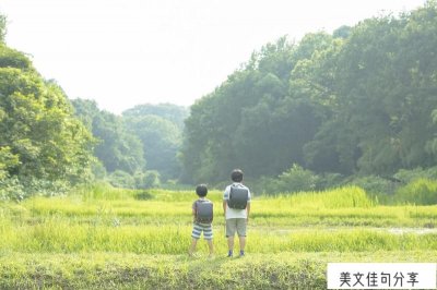 ​人生感悟的句子短句（16句很走心的干净句子）