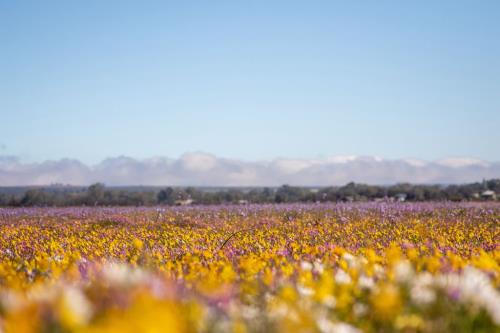 开心说说心情短语