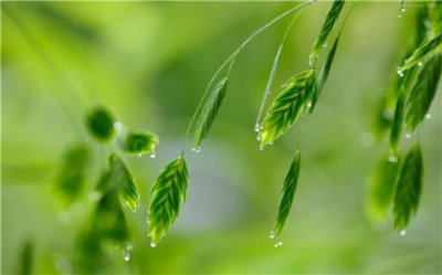 ​一句简单心情说说微博 一句话微博