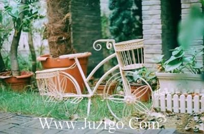 ​生活励志的句子正能量(求一些励志正能量语录说说)