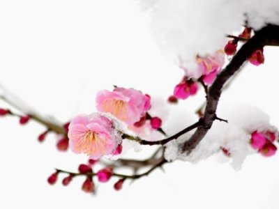 ​非主流伤感唯美句子（抖音伤感语录文字图片）