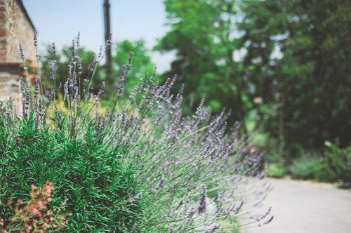 高考励志句子唯美简短