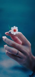 ​最暖心的100句短语（感恩的话语）