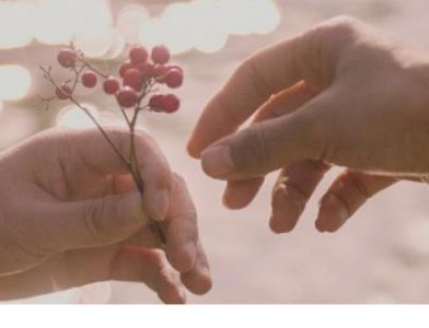 ​冬天天气晴朗优美句子（心情好）