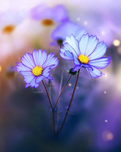 ​霸气超拽男人的唯美句子说说心情短语 ，简单干净，人人点赞！