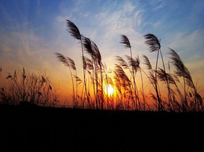 ​夕阳西下的唯美句子落日余晖（夕阳西下的唯美句子，日落朋友圈心情短语）