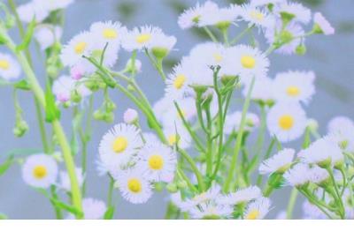 心累的句子说说心情大全精选