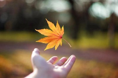 ​告别昨天迎接明天的优美句子(新征程的励志句子)