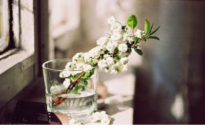 朋友圈最火的心情说说