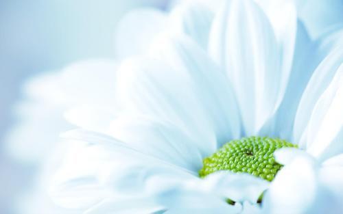 2021适合心情低落的朋友圈心情不好发朋友圈的句子