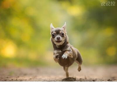 文艺悲伤的句子说说心情