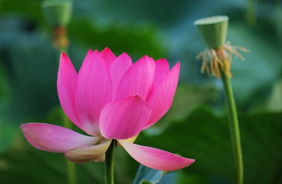 ​感谢朋友的话语暖心句子（15句适合感谢时候发的话语）