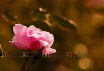 ​古代人说话的经典语句