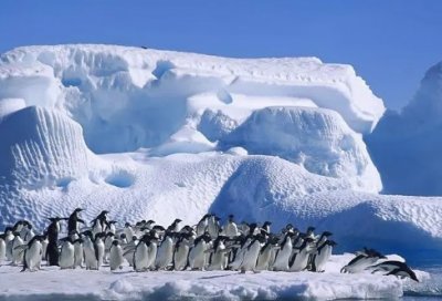 ​经典小品台词