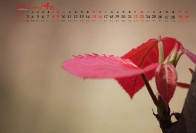 ​朋友圈语录经典短句