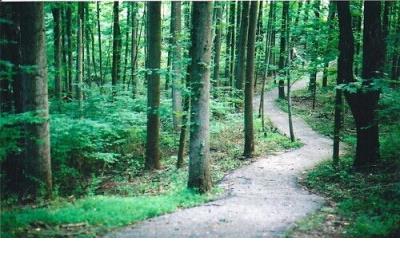 励志句子唯美简短