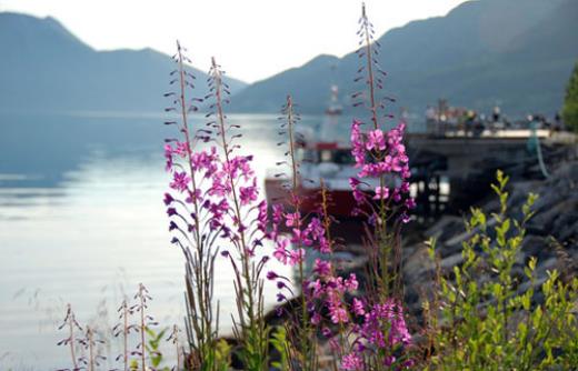 暖心励志正能量的句子