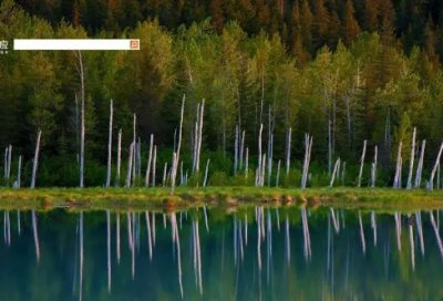 ​文章的经典爱情语录