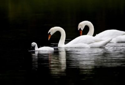 ​搞笑三句半台词