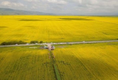 ​为什么上学很枯燥，毕业后却很怀念