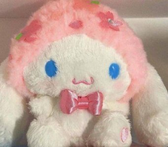 ​青春励志的句子大全(精选60句)