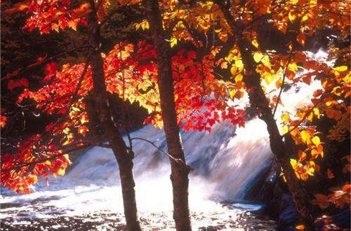 女人对感情失望的句子说说心情短语