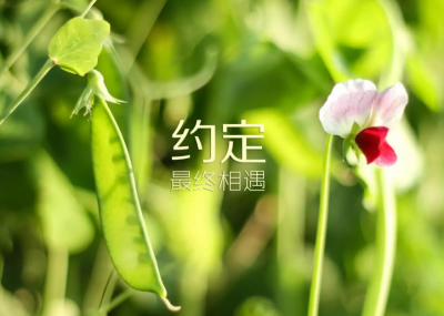 ​让人必须赞的QQ说说