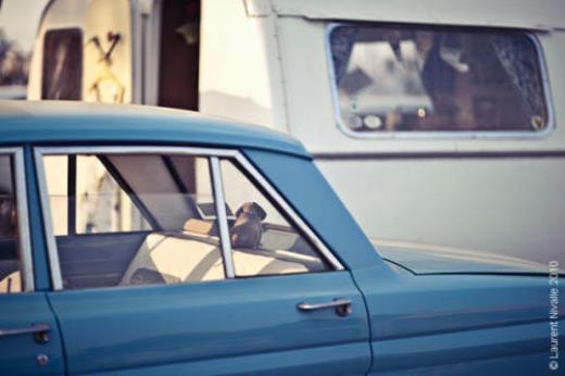 激励自己的座右铭8个字