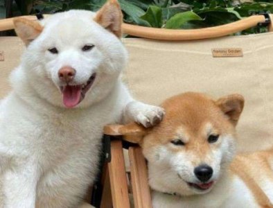 ​人生励志创业感悟句子