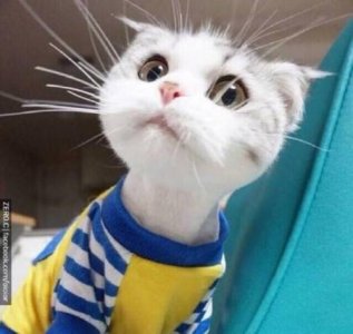 ​经典励志减肥语录