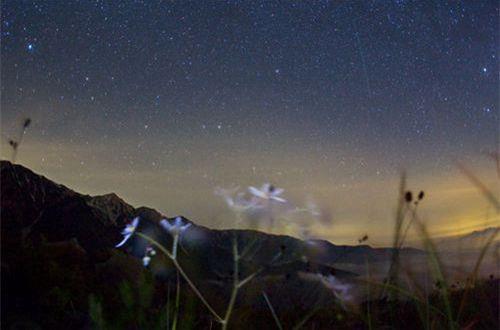 微信置顶励志句子