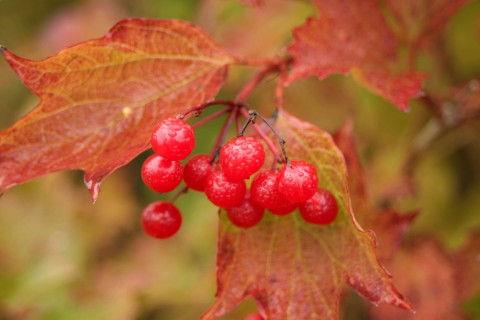 大学毕业季优美句子伤感