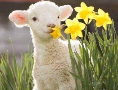 ​伤感经典语录性签名85句